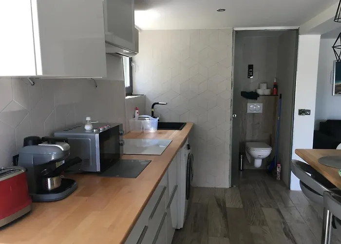 Trinity * 巴拉顿诺尔马迪