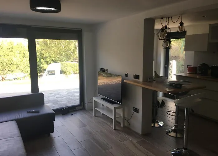 Trinity * 巴拉顿诺尔马迪